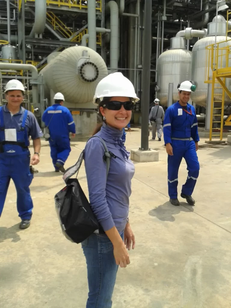 Interpretación técnica petroquimica