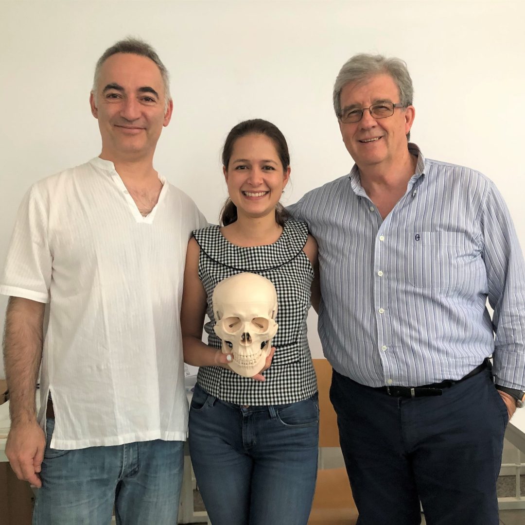 Servicio de traducción e interpretación para el sector odontológico